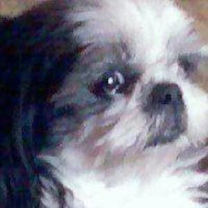 Meet your Posher, Kathy